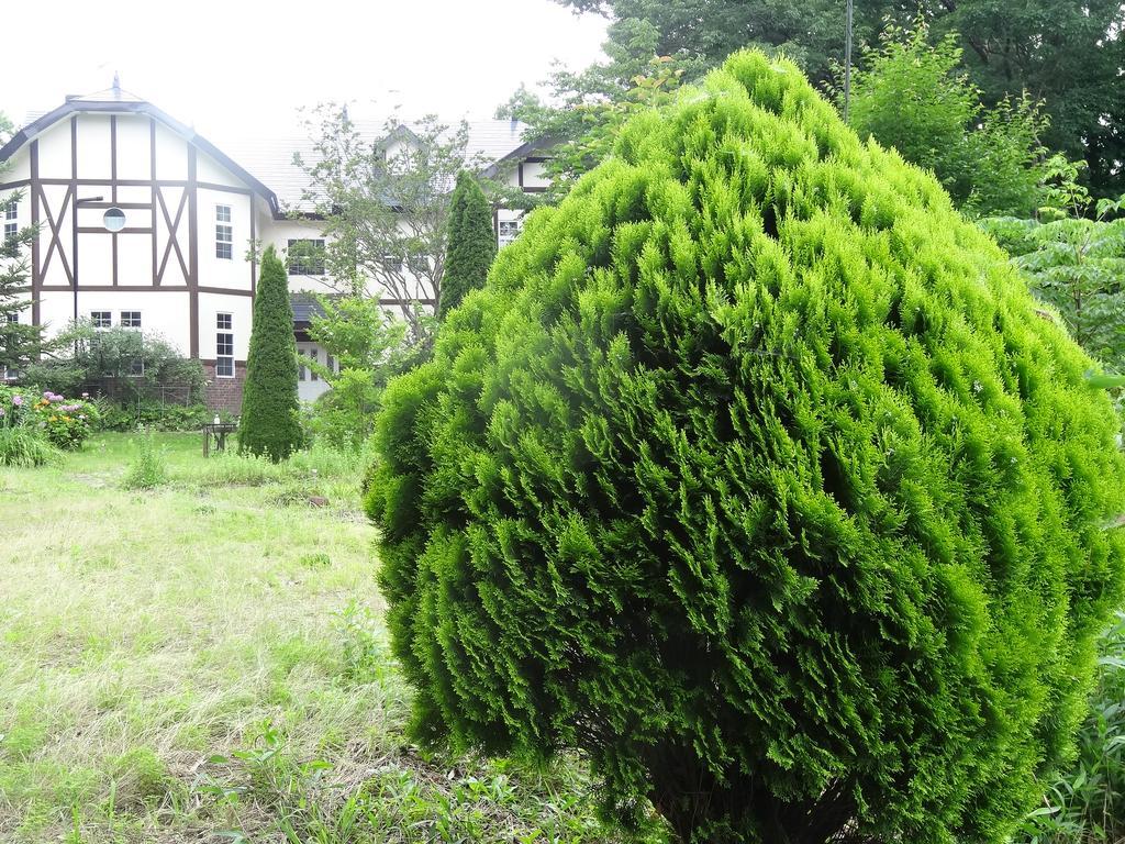 ホテル ガストホフ　アルタニー 那須町 エクステリア 写真